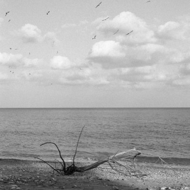 Photographie intitulée "paesaggio del mare" par Roberto Ferrero, Œuvre d'art originale, Photographie argentique