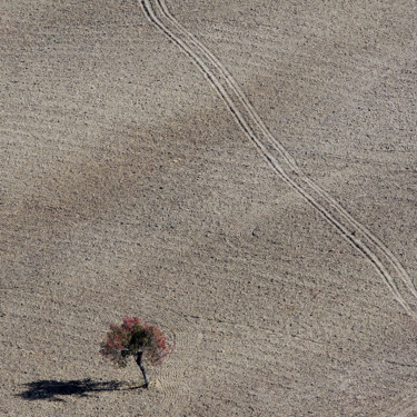 Fotografia zatytułowany „terra di molise #05” autorstwa Roberto Ferrero, Oryginalna praca, Fotografia cyfrowa