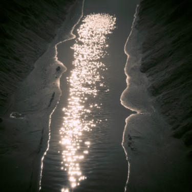 Fotografia intitolato "in mezzo alla terra…" da Roberto Ferrero, Opera d'arte originale, Fotografia digitale
