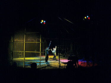 Fotografia intitolato "la tigre e il domat…" da Roberto Ferrero, Opera d'arte originale, fotografia a pellicola