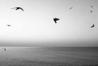 Photography titled "il piccione e la ro…" by Roberto Ferrero, Original Artwork, Digital Photography