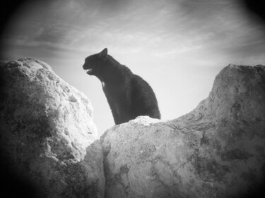 Fotografie getiteld "il gatto nero con l…" door Roberto Ferrero, Origineel Kunstwerk, Digitale fotografie