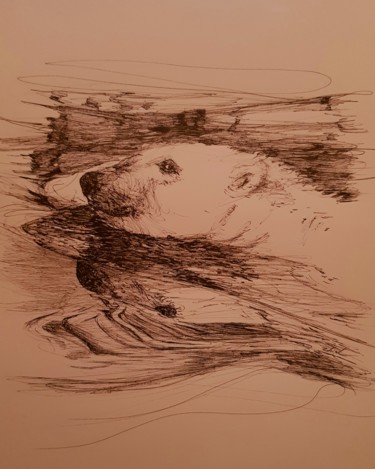 Drawing titled "Ours polaire" by Karl Robial, Original Artwork, Ink
