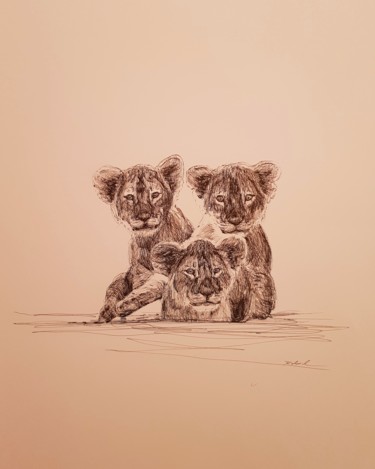 Drawing titled "3 lionceaux" by Karl Robial, Original Artwork, Ink