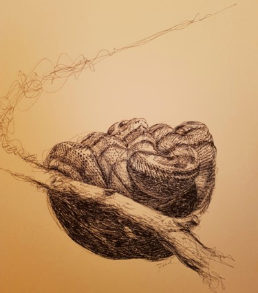 Drawing titled "Snake 2" by Karl Robial, Original Artwork, Ink