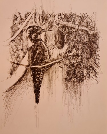 Drawing titled "Pivert" by Karl Robial, Original Artwork, Ink