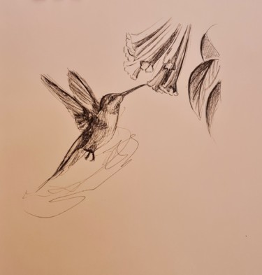 Drawing titled "Colibri 3" by Karl Robial, Original Artwork, Ink