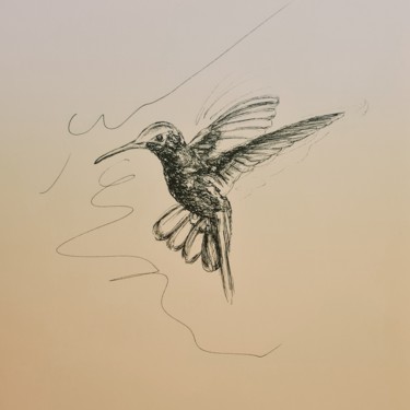 Drawing titled "Colibri 12" by Karl Robial, Original Artwork, Ink