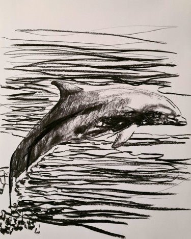 Drawing titled "Dauphin 26/09/21" by Karl Robial, Original Artwork, Charcoal