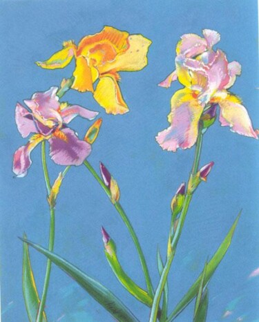 Disegno intitolato "Blue Iris" da Robin Mols, Opera d'arte originale