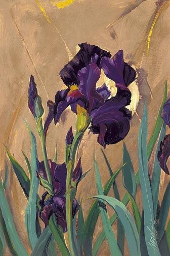 Dessin intitulée "Iris I" par Robin Mols, Œuvre d'art originale