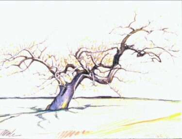 Drawing titled "the_tree_Untitled-2…" by Robin Mols, Original Artwork
