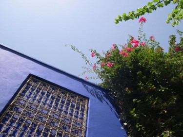 Photographie intitulée "JARDIN AGADIR" par Françoise Robin De Morhéry, Œuvre d'art originale