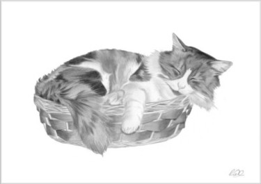 Malerei mit dem Titel "Cat in a basket" von Rob Woolnough, Original-Kunstwerk
