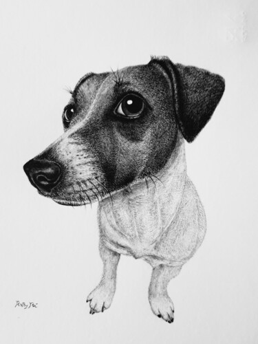 Drawing titled "Jack Russell" by Roby Bí, Original Artwork, Graphite