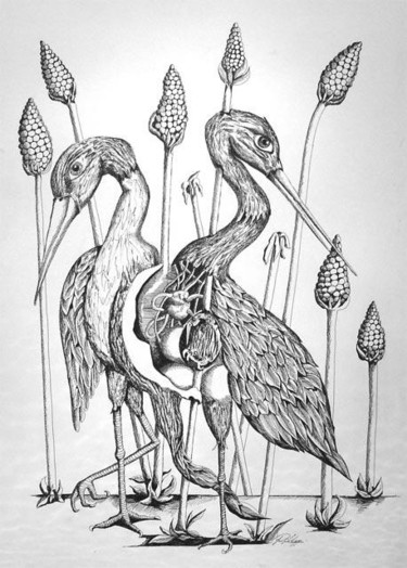 Drawing titled "grippe aviaire" by Rodykop, Original Artwork