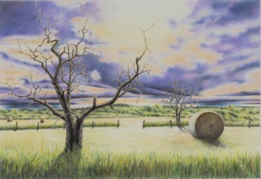 Картина под названием "Saulters Ranch" - Ronald Firla, Подлинное произведение искусства, Цветные карандаши