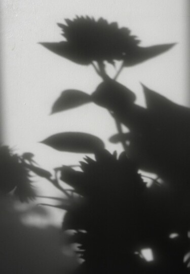 Photographie intitulée "Ombre et Lumiére X" par Roger Ernest Jankow, Œuvre d'art originale, Photographie numérique