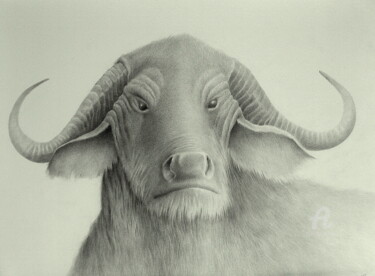 Tekening getiteld "waterbuffalo" door Roger Thijs, Origineel Kunstwerk, Grafiet