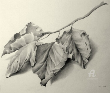 Drawing titled "Autumn memory" by Roger Thijs, Original Artwork, Pencil