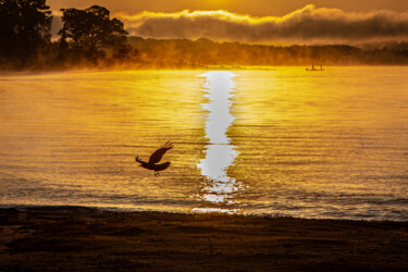 Fotografia zatytułowany „An Early Morning Fl…” autorstwa Rohit Kamboj, Oryginalna praca, Fotografia cyfrowa