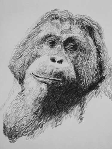 Dessin intitulée "singe 1" par Roland Gschwind, Œuvre d'art originale, Autre