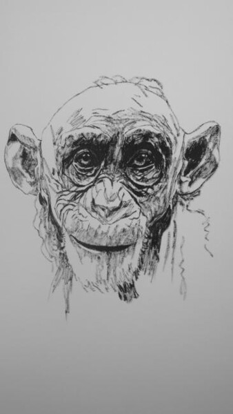 Dibujo titulada "chimpanzé" por Roland Gschwind, Obra de arte original, Otro