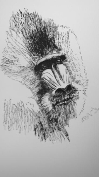 Drawing titled "mandrill" by Roland Gschwind, Original Artwork, Ink