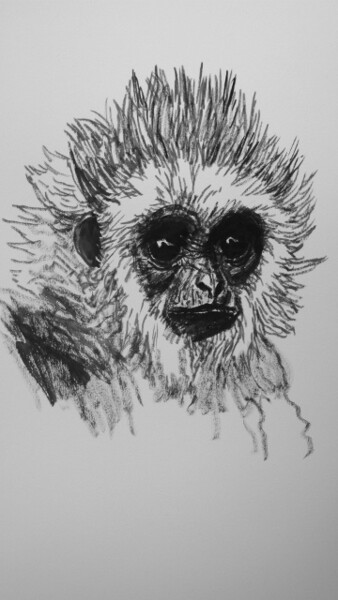 Drawing titled "gibbon" by Roland Gschwind, Original Artwork, Ink