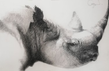 Drawing titled "Rhino" by Roland Guyomard, Original Artwork, Charcoal