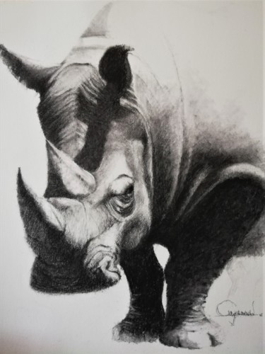 Dessin intitulée "Rhino 2" par Roland Guyomard, Œuvre d'art originale, Fusain