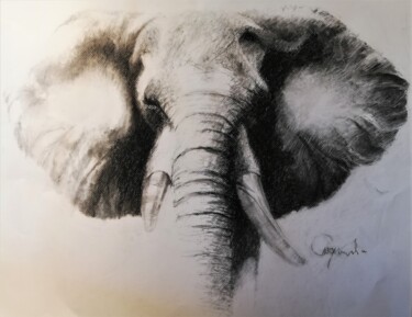 Tekening getiteld "Elephant" door Roland Guyomard, Origineel Kunstwerk, Houtskool