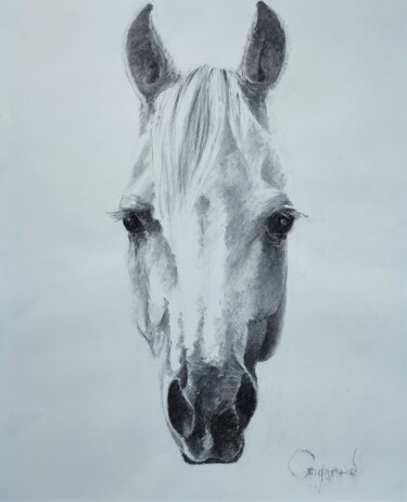 Drawing titled "Suzette" by Roland Guyomard, Original Artwork, Charcoal
