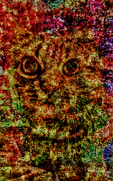 Digitale Kunst getiteld "Le chat 1" door Romain Cots, Origineel Kunstwerk, Foto Montage