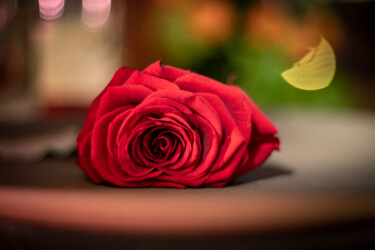 Фотография под названием "Роза" - Roman Adler, Подлинное произведение искусства, Цифровая фотография