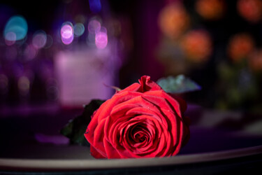 Фотография под названием "Вечерняя роза" - Roman Adler, Подлинное произведение искусства, Цифровая фотография