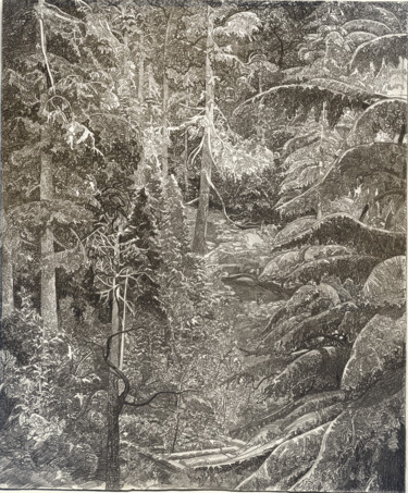 Картина под названием "Еловый Лес" - Роман Малышев, Подлинное произведение искусства, Графит