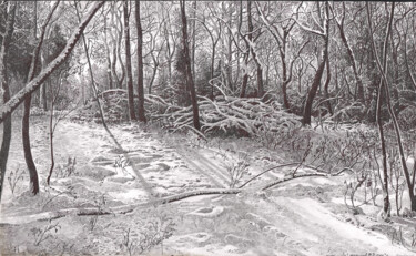 Картина под названием "Дорога в зимний лес" - Роман Малышев, Подлинное произведение искусства, Графит