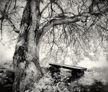 Fotografía titulada "Bench" por Romeo Koitmäe, Obra de arte original, Fotografía analógica