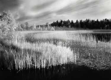 Fotografie getiteld "Bends" door Romeo Koitmäe, Origineel Kunstwerk, Film fotografie