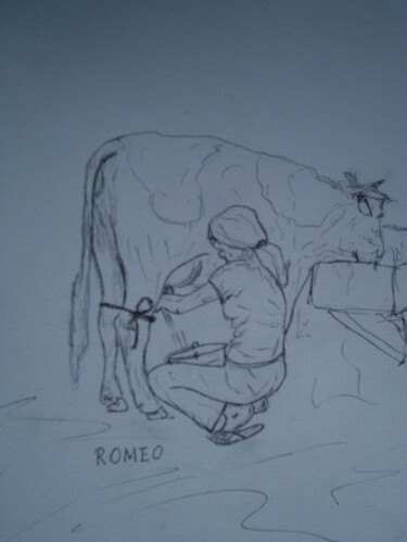 Desenho intitulada "DORACY TIRANDO LEIT…" por Romeo Zanchett, Obras de arte originais