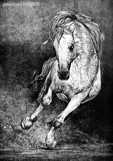 Drawing titled "Horse - engraving" by Raileanu Romeo, Original Artwork, Other
