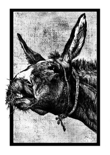 Drawing titled "Donkey - Engraving" by Raileanu Romeo, Original Artwork, Other