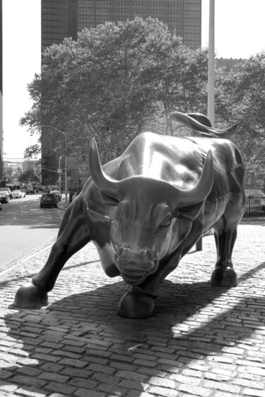 Photography titled "Investment Bull" by Ron Pfister, Original Artwork