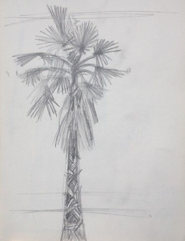 Drawing titled "Palmier" by Ronan Le Morvan, Original Artwork, Pencil