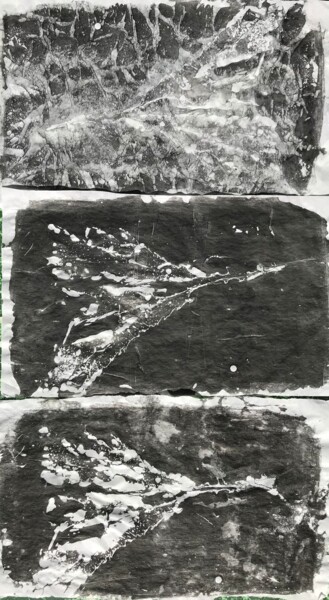 Printmaking titled "L’algue" by Ronan Le Morvan, Original Artwork, Engraving