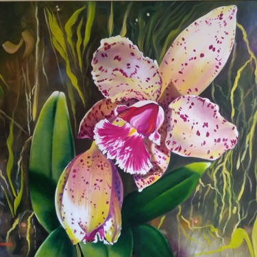 Painting titled "orquídea cruzeiro d…" by Rone Lacerda, Original Artwork, Oil
