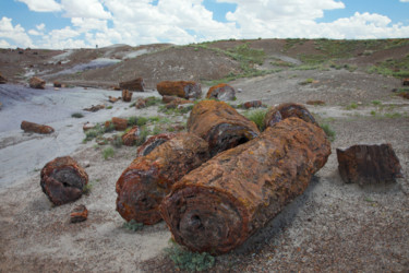 Фотография под названием "Petrified Logs" - Ronald Santini, Подлинное произведение искусства