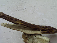 Sculpture intitulée "Mososaurus geodicus" par Parhelio, Œuvre d'art originale