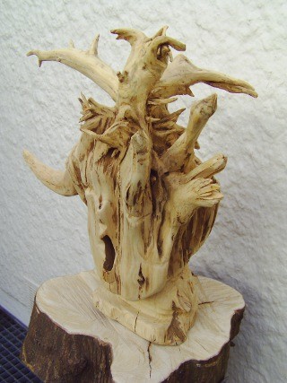 Sculpture intitulée "Medusa" par Parhelio, Œuvre d'art originale, Bois